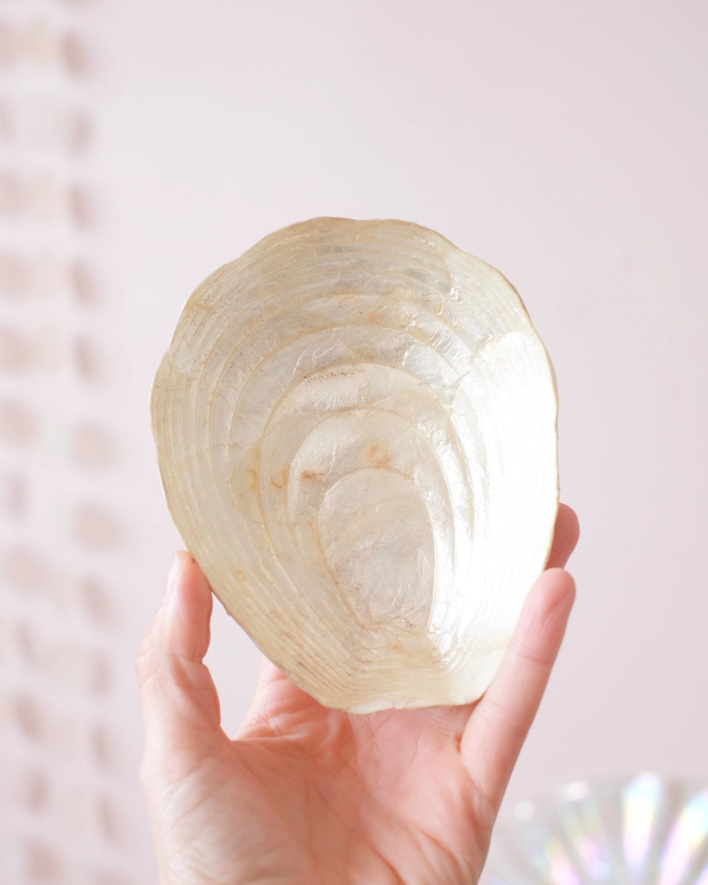 Ancienne coupelle coquillage en nacre