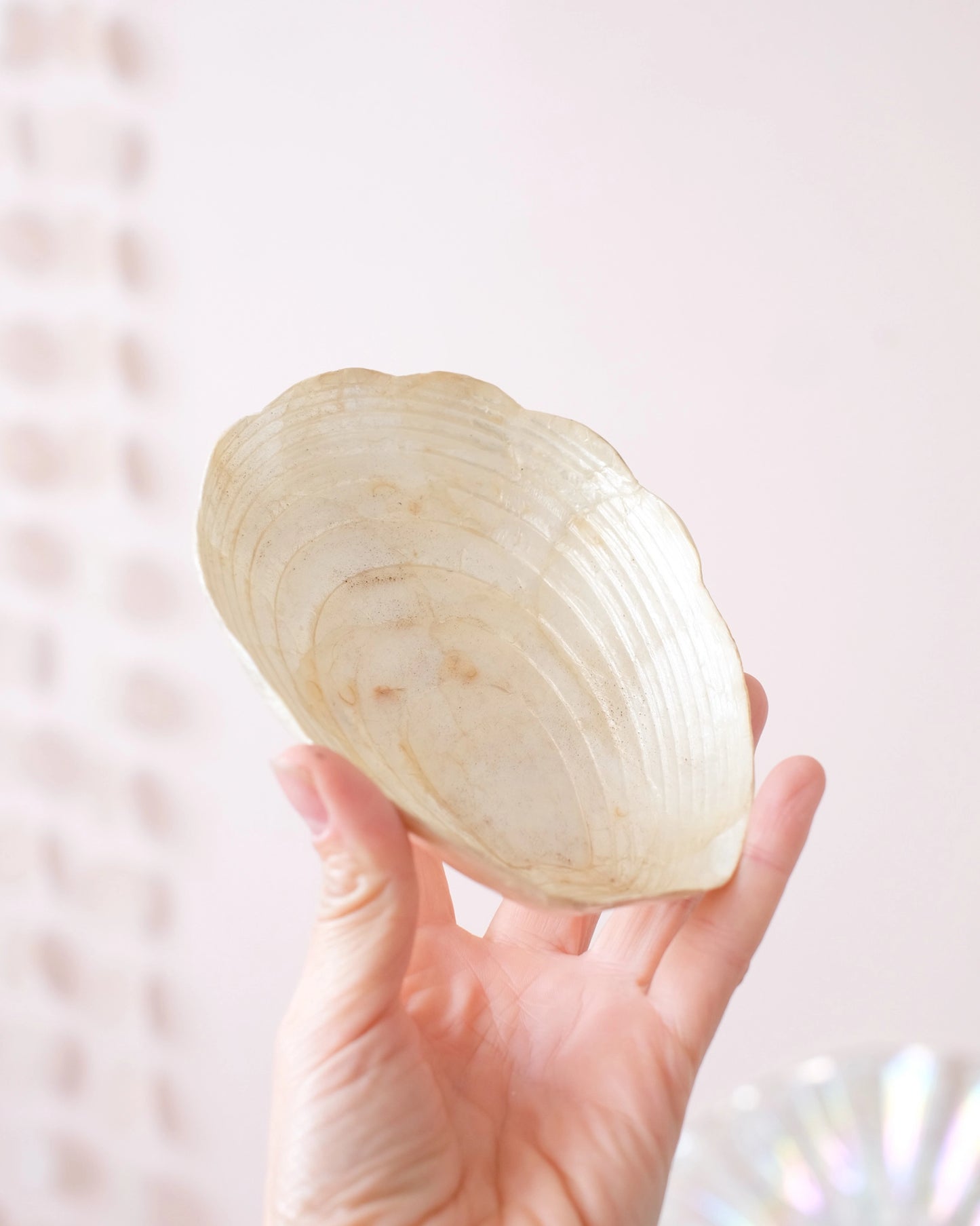 Ancienne coupelle coquillage en nacre