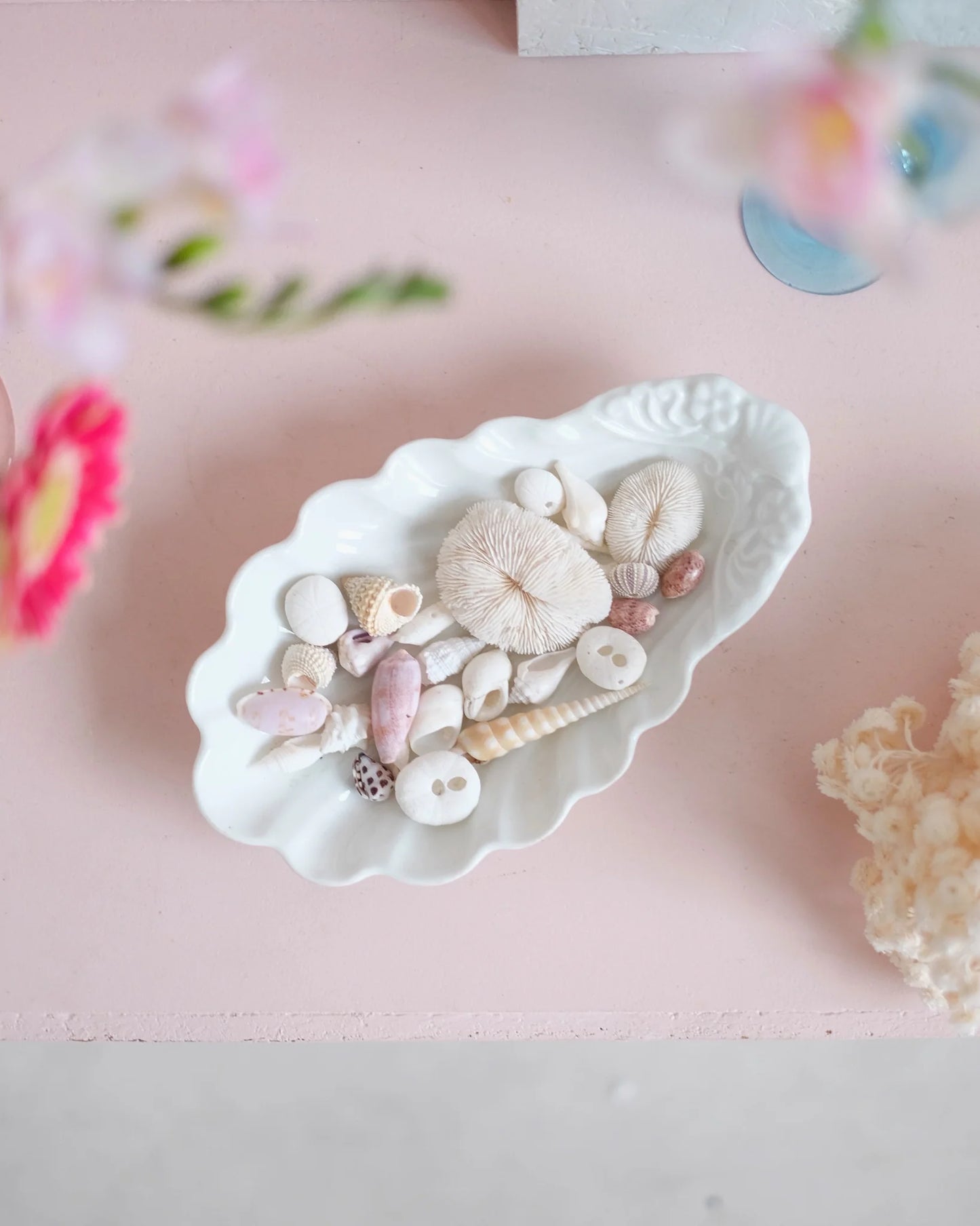 Coupelle coquille en porcelaine garnie de coquillages