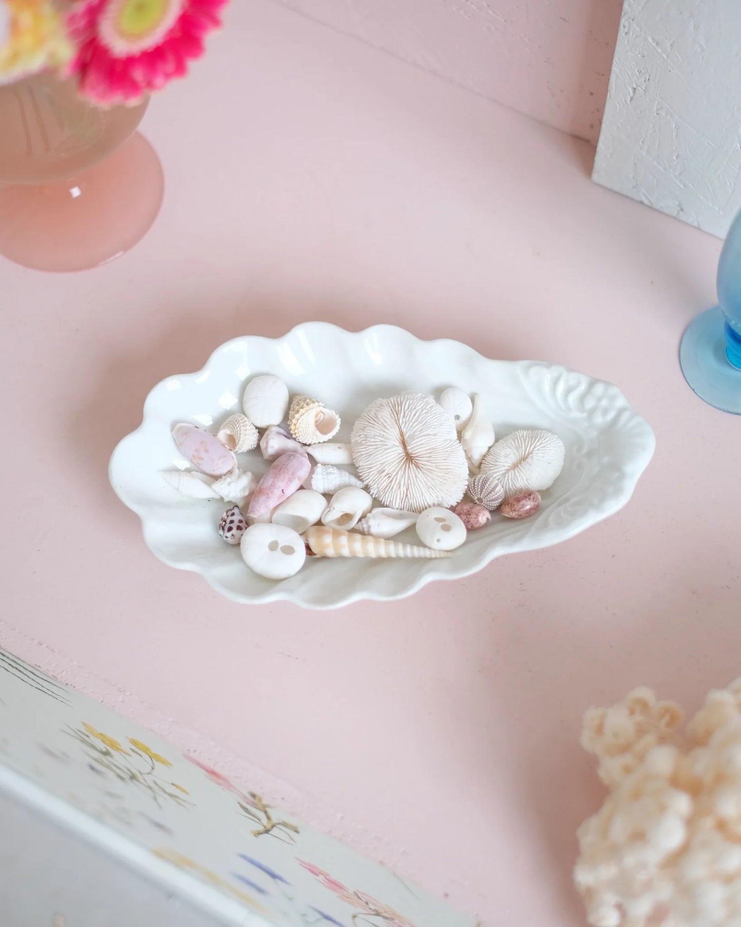 Coupelle coquille en porcelaine garnie de coquillages