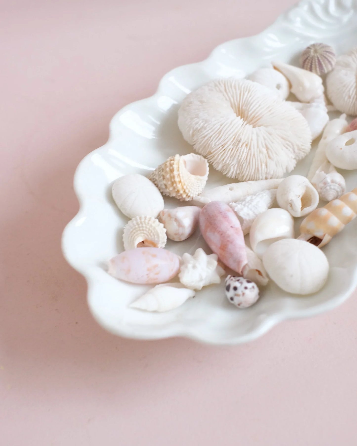 Coupelle coquille en porcelaine garnie de coquillages