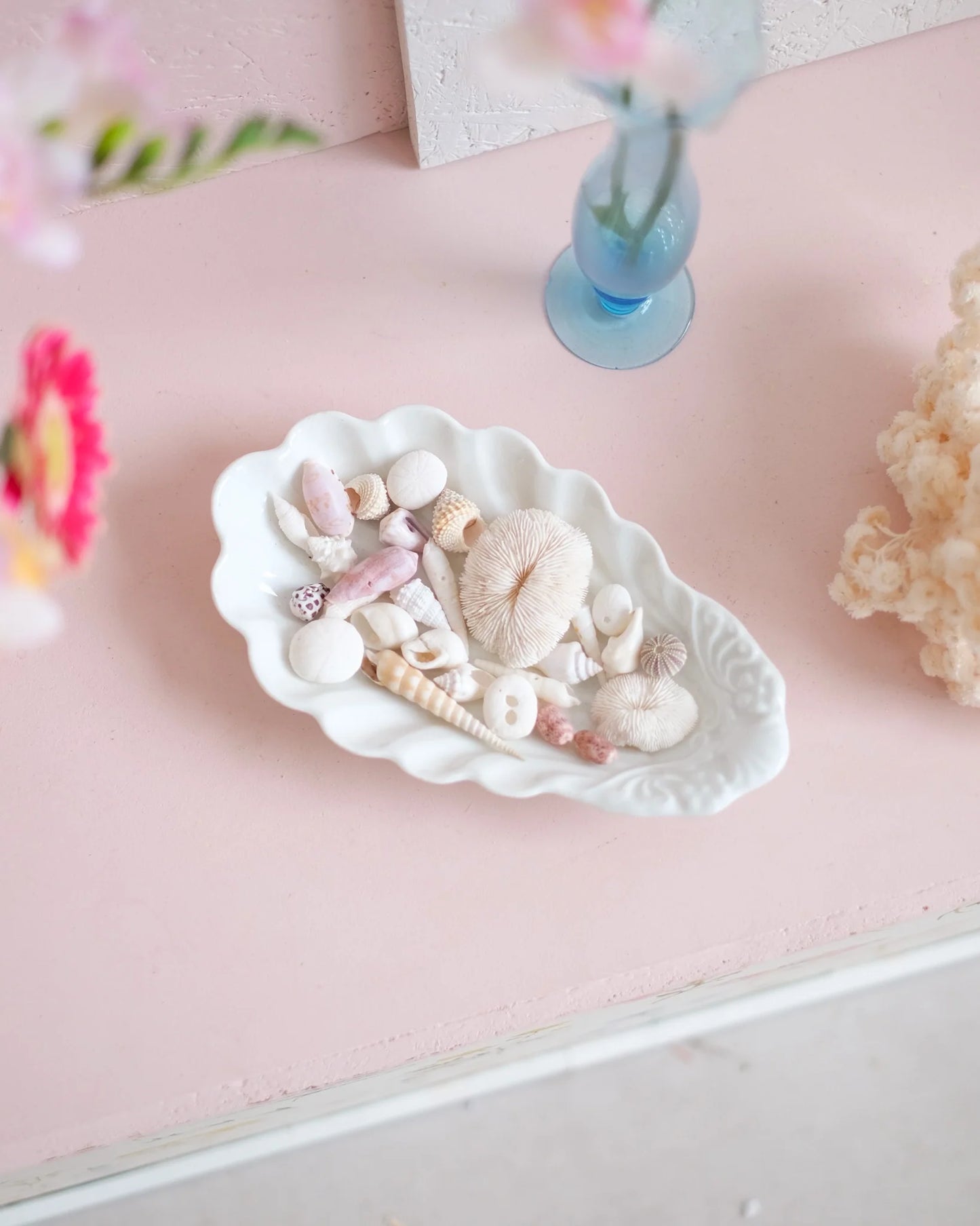 Coupelle coquille en porcelaine garnie de coquillages