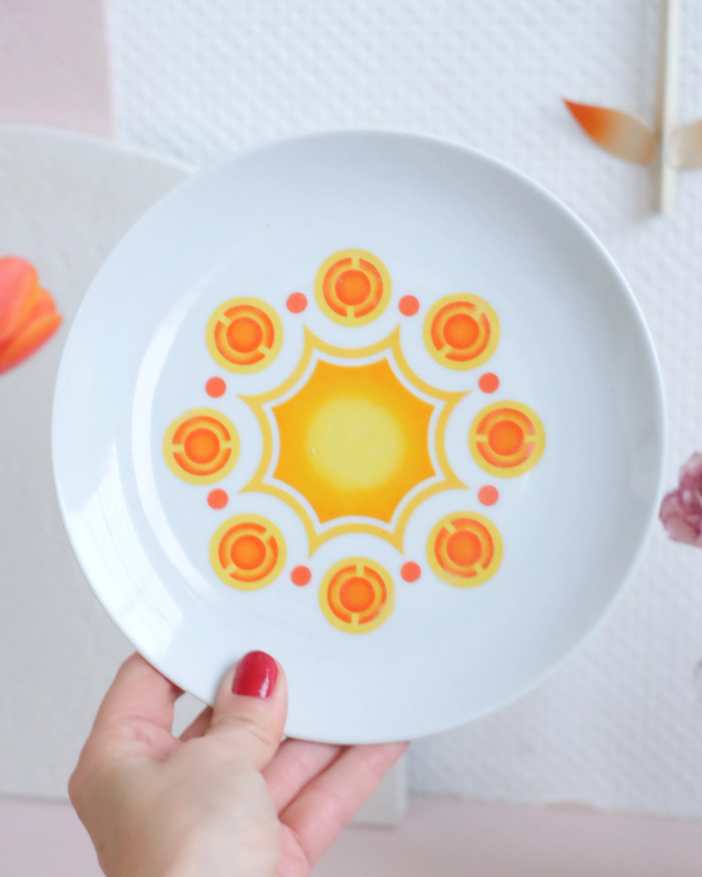 6 assiettes vintage en céramique