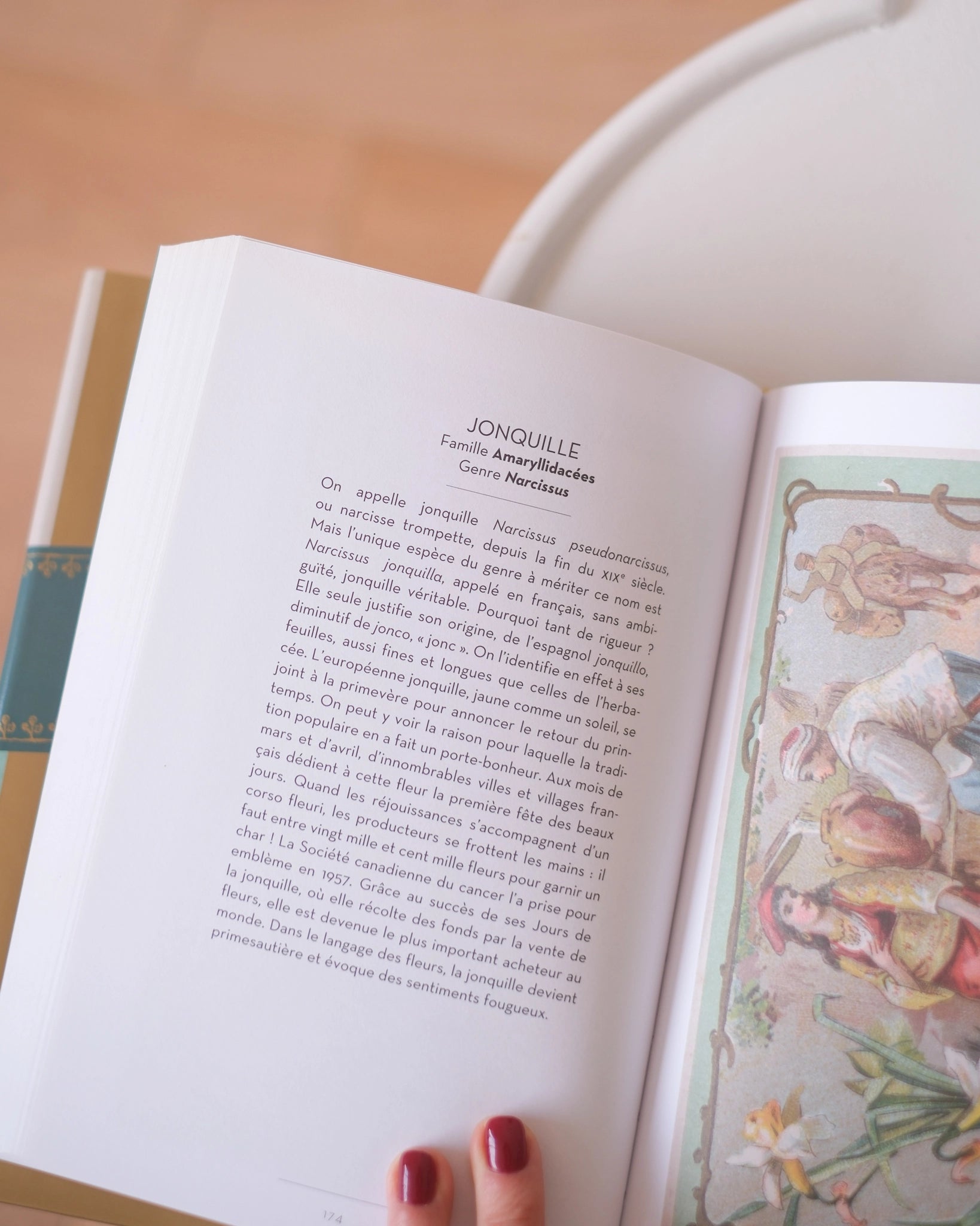 Le beau livre des Arbres et des Fleurs