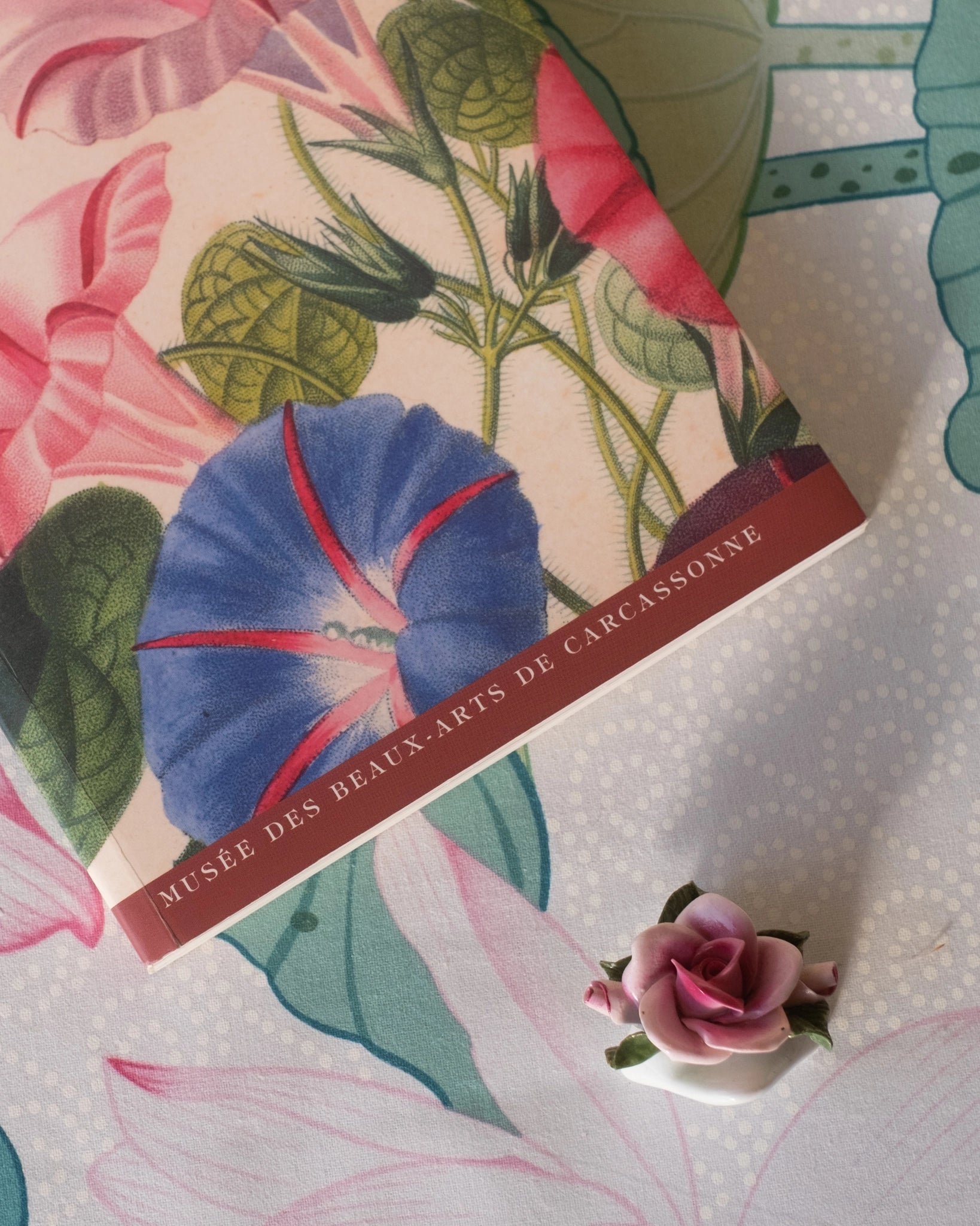 Fleurs et botanique dans les collections du musée des beaux - arts de Carcassonne - Silly & Billy