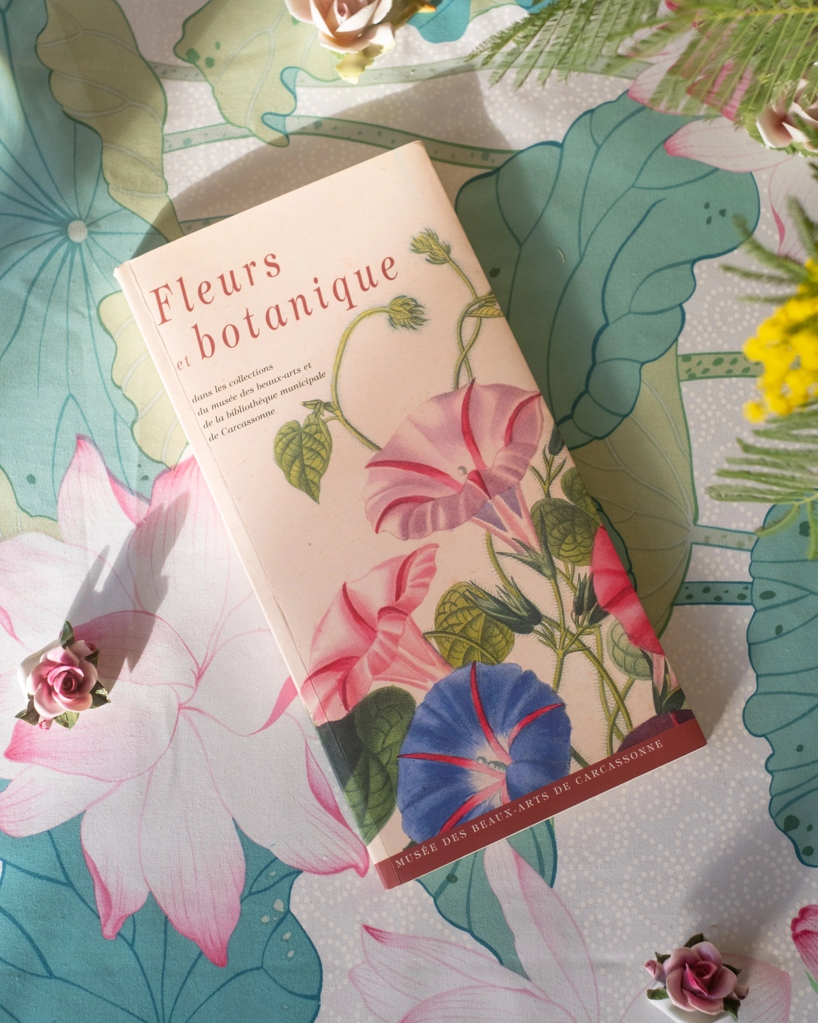 Fleurs et botanique dans les collections du musée des beaux - arts de Carcassonne - Silly & Billy
