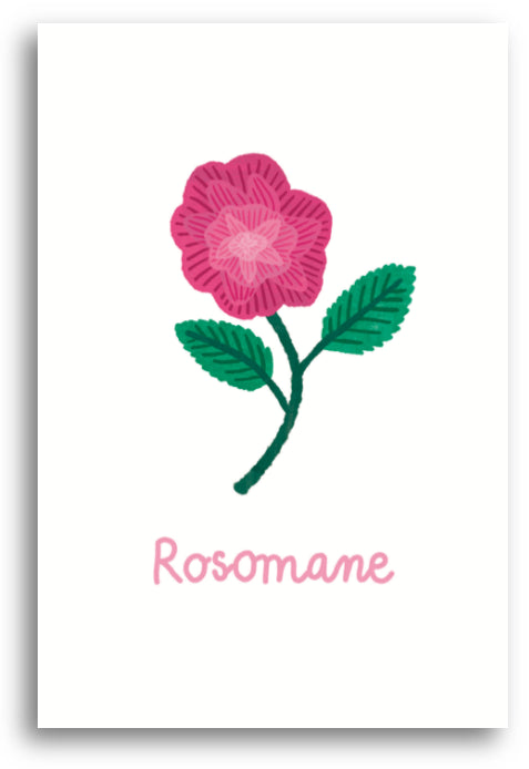 Carte postale Rosomane