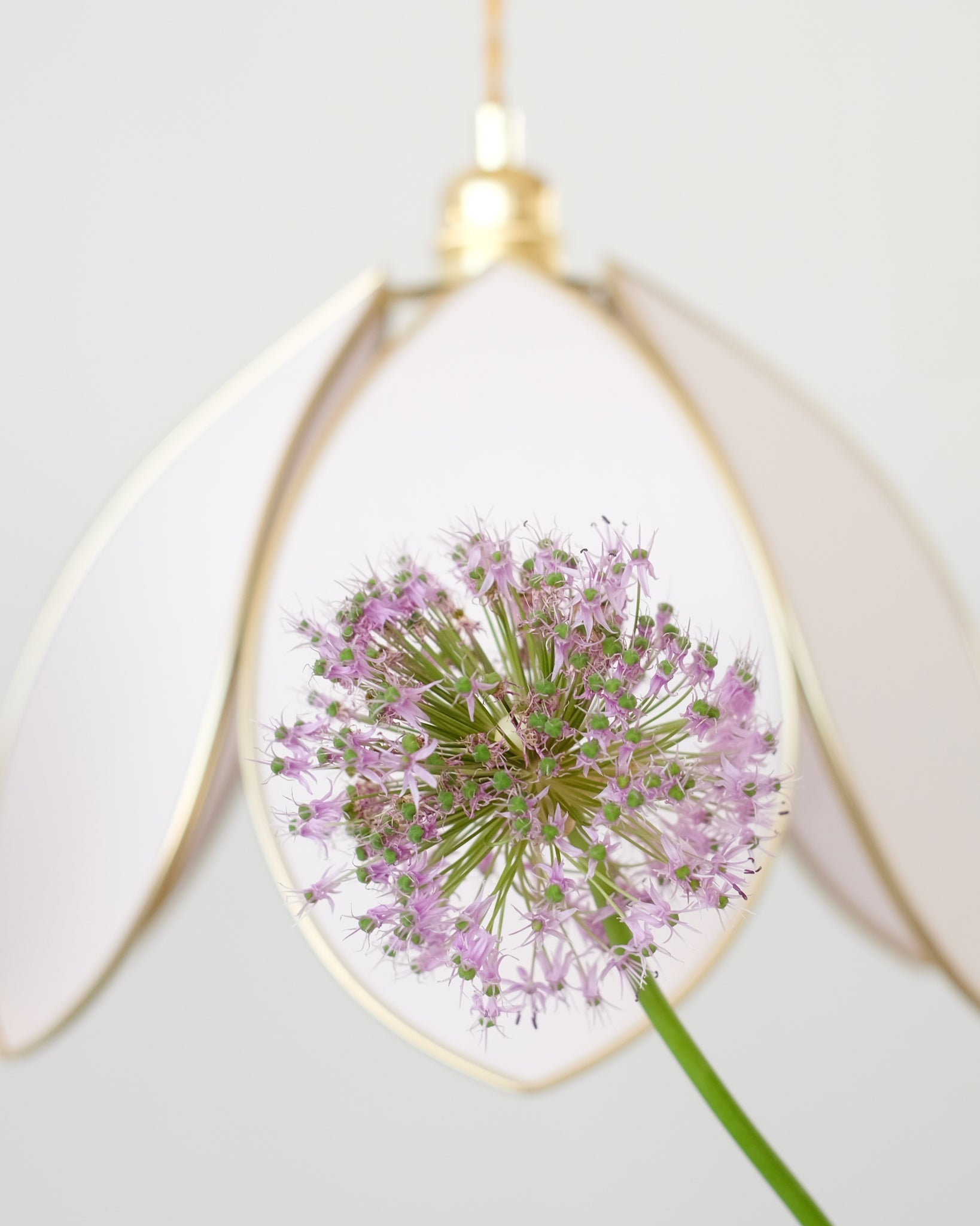 Suspension Fleur simple - Guimauve et doré - Silly & Billy