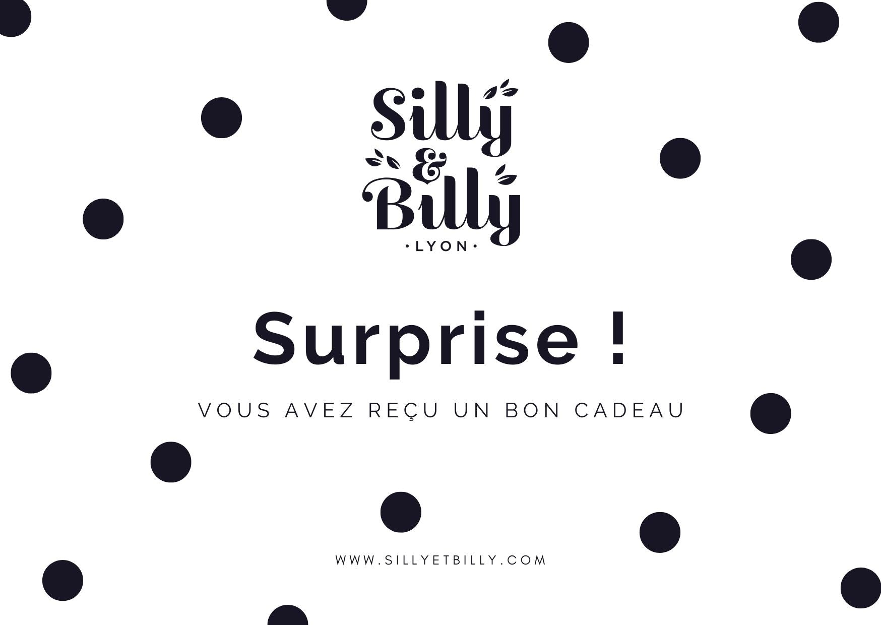Carte - cadeau - Silly & Billy