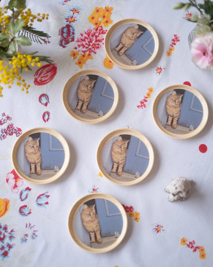 6 dessous de verre vintage italiens Aux chats - Silly &amp; Billy