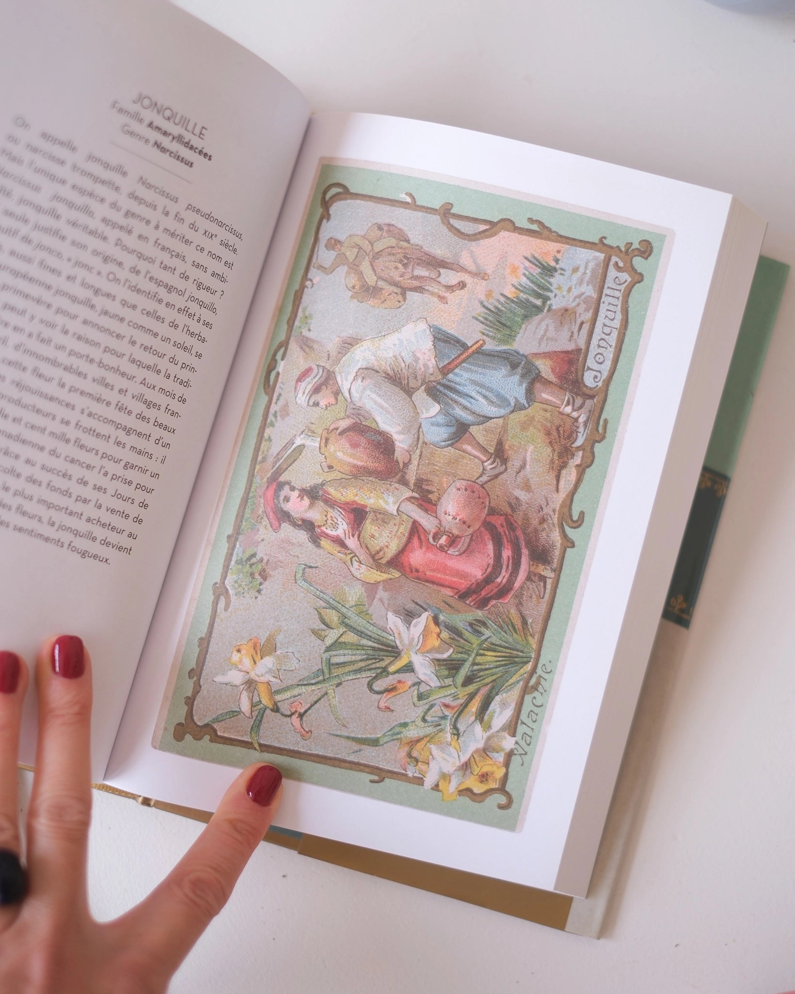 Le beau livre des Arbres et des Fleurs