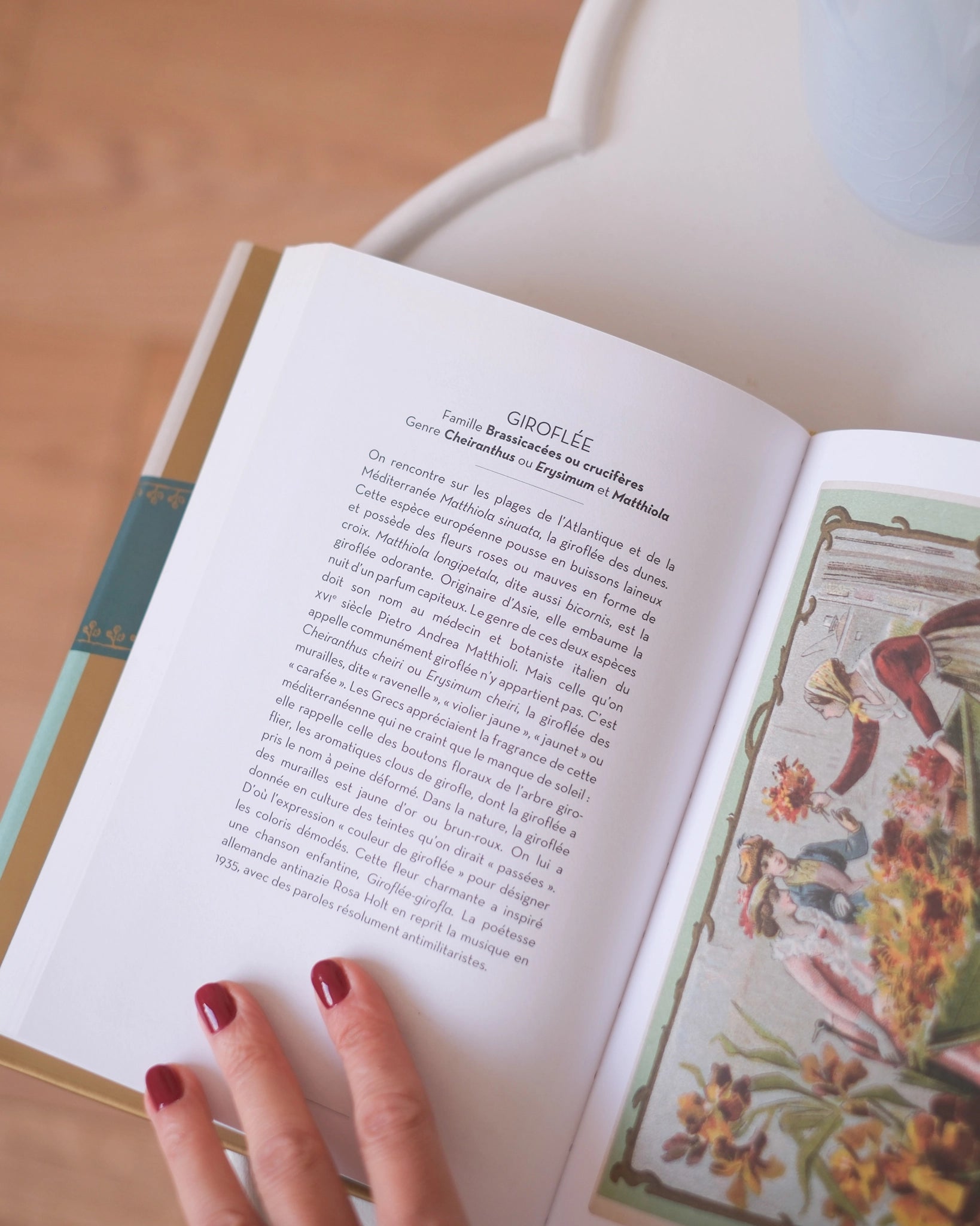 Le beau livre des Arbres et des Fleurs