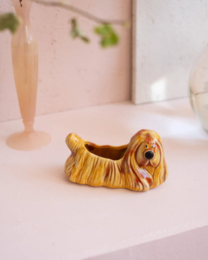 Ancien cache-pot Pollux
