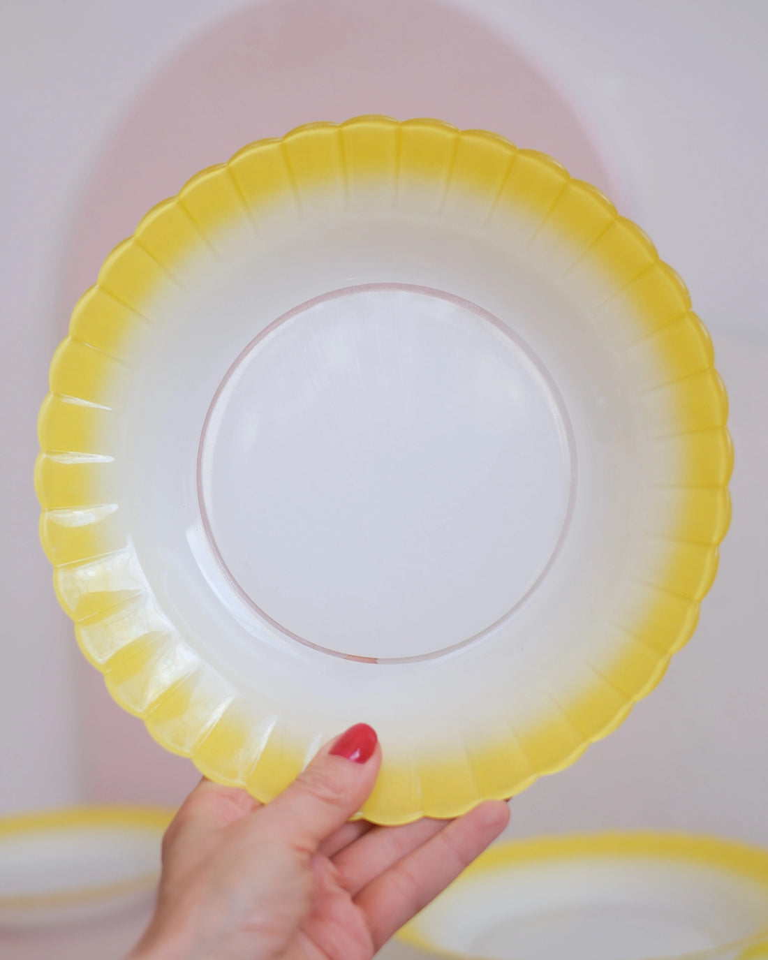 5 grandes assiettes creuses Arcopal