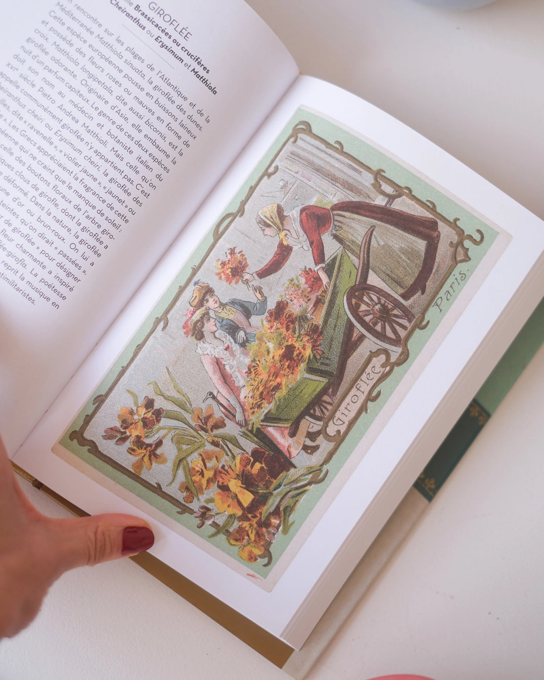 Le beau livre des Arbres et des Fleurs