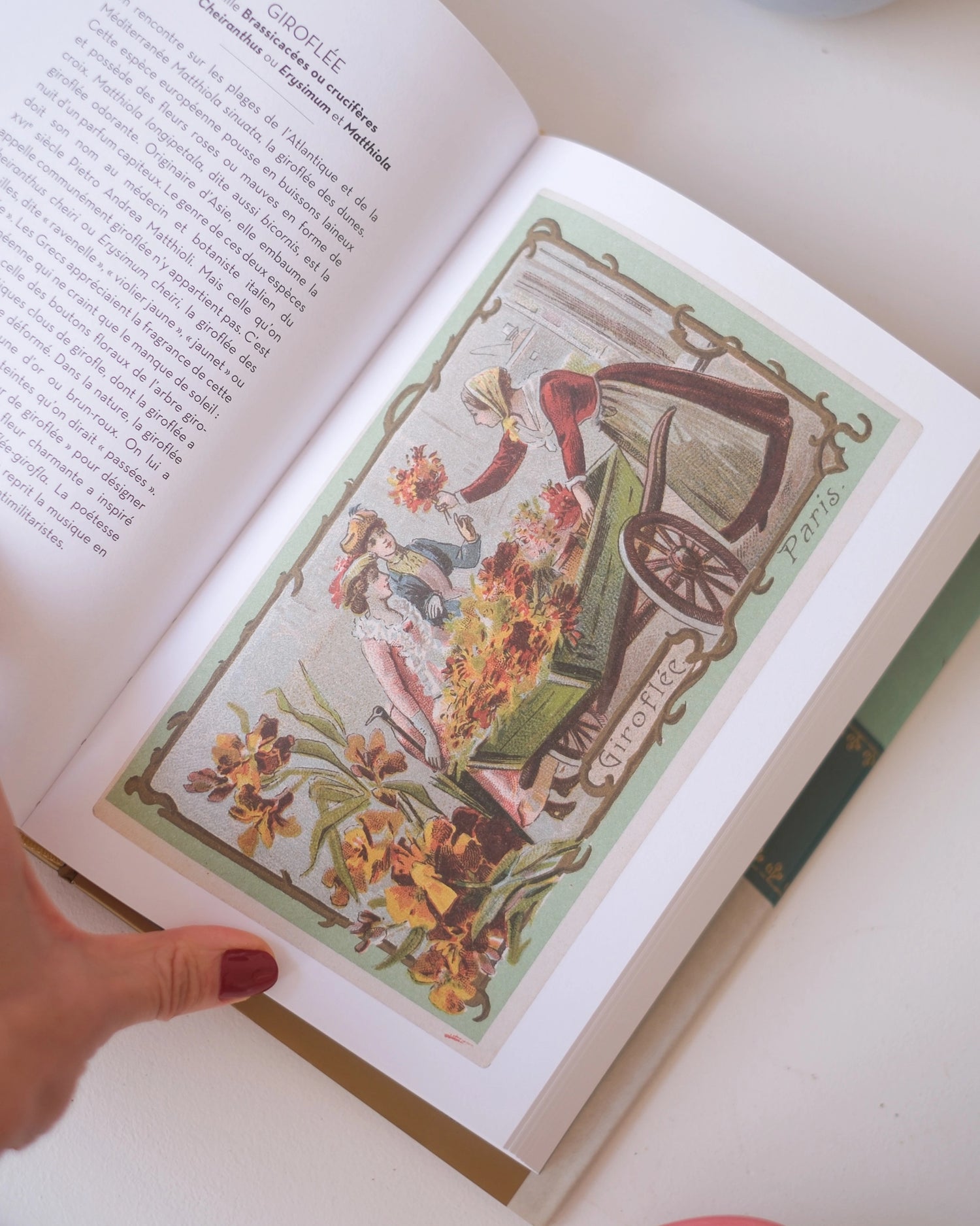 Le beau livre des Arbres et des Fleurs