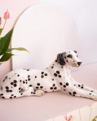 Ancien dalmatien en céramique italienne