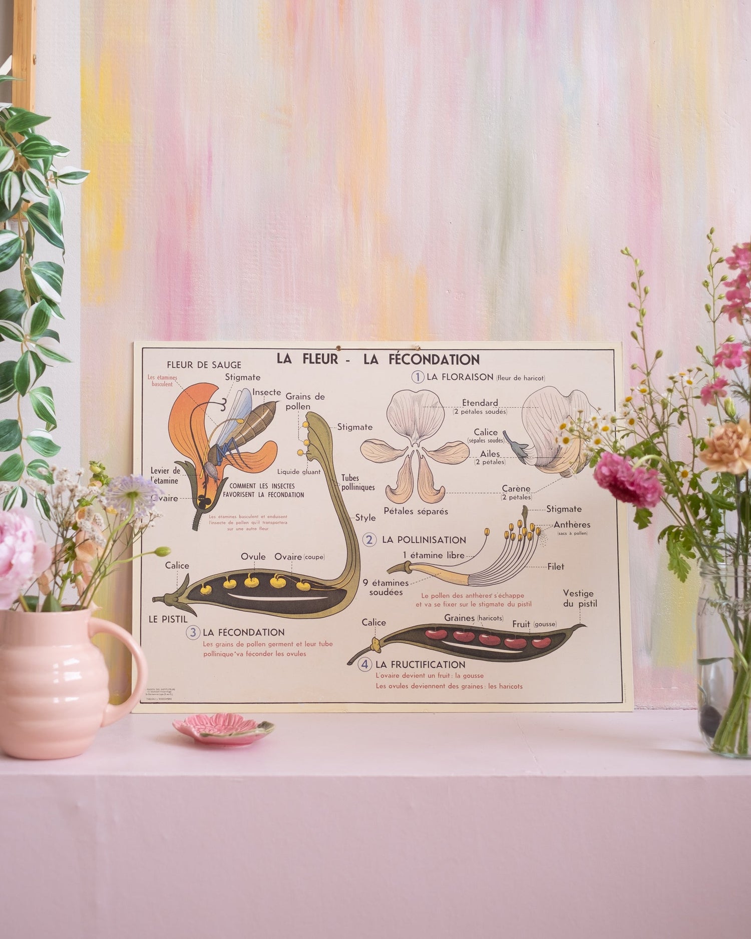 Ancien tableau pédagogique d&