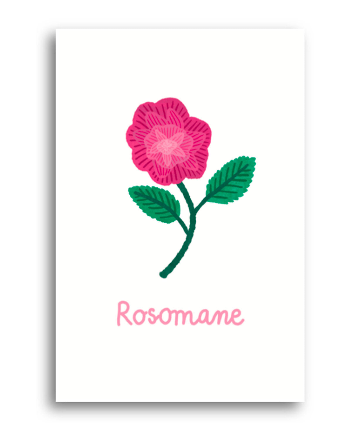 Carte postale Rosomane