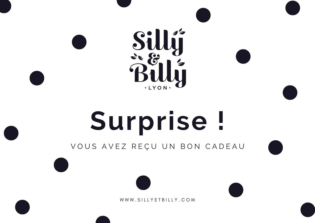Carte - cadeau - Silly &amp; Billy