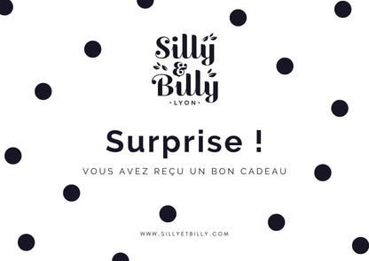Carte - cadeau - Silly &amp; Billy